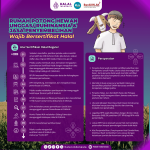 Cara Membangun Branding Produk Halal Yang Modern Strategi Inovatif Untuk Kepercayaan Konsumen Di Era Digital