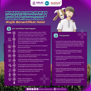 Cara Membangun Branding Produk Halal Yang Modern Strategi Inovatif Untuk Kepercayaan Konsumen Di Era Digital