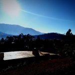 Tips Jitu Menghindari Oversleeping Saat Pagi Hari Bangun Lebih Segar Hidup Lebih Produktif