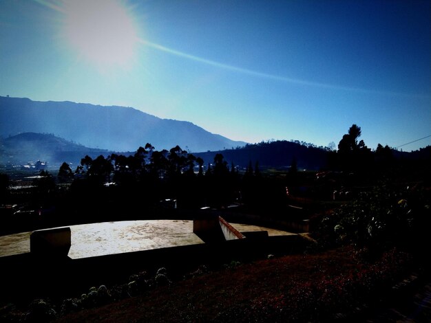 Tips Jitu Menghindari Oversleeping Saat Pagi Hari Bangun Lebih Segar Hidup Lebih Produktif